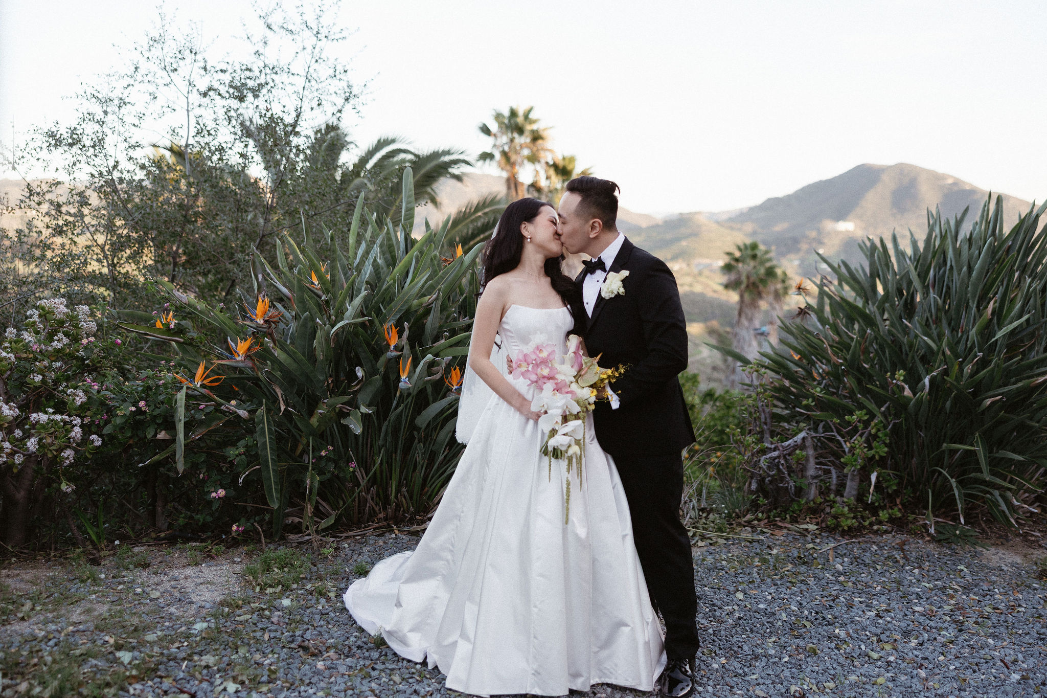 cute picture of the newlyweds kissing