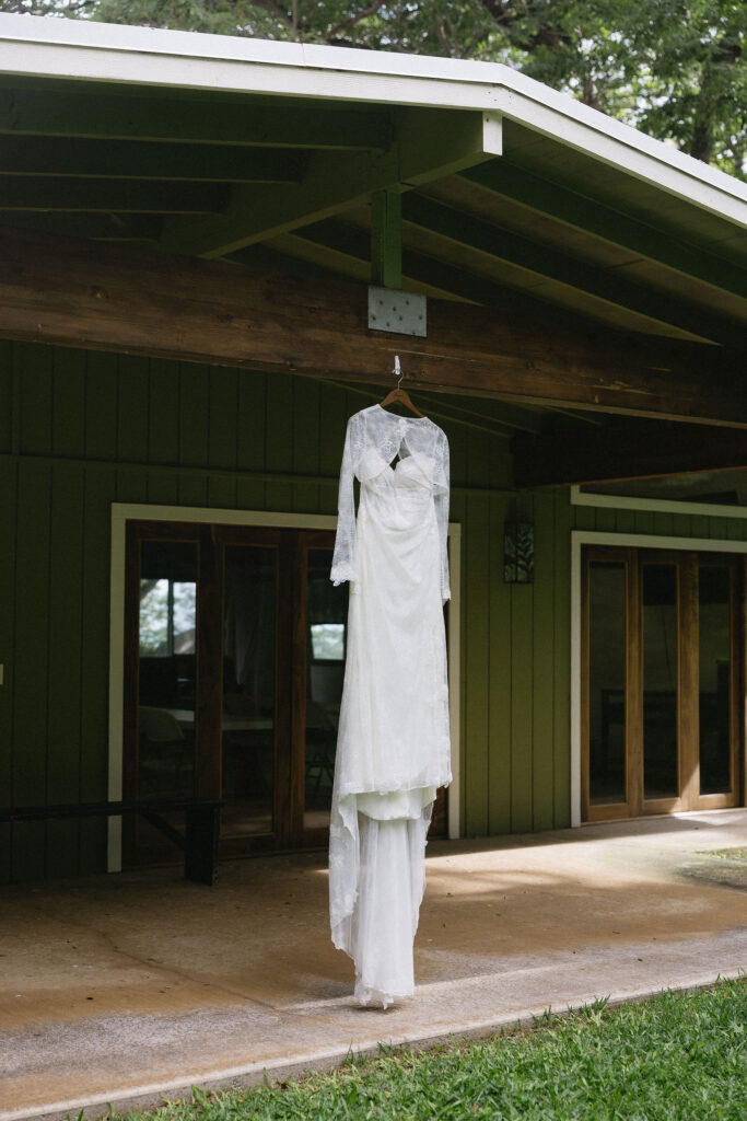 stunning picture of the wedding dress