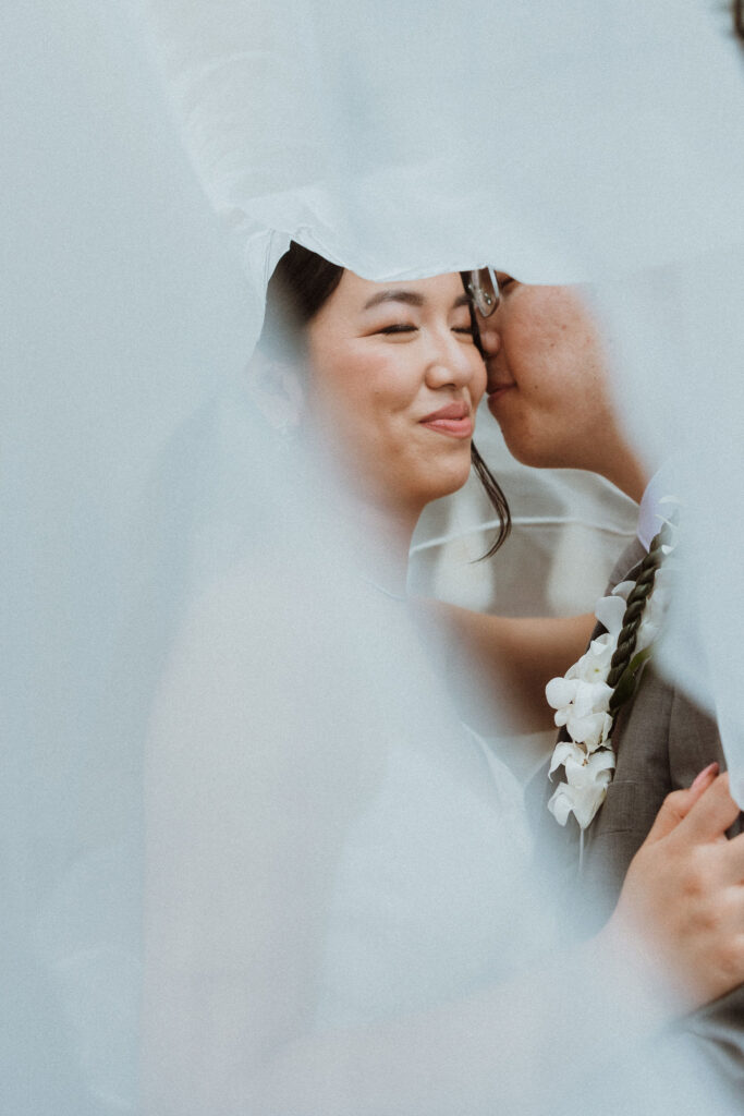 groom kissing the bride on the cheek