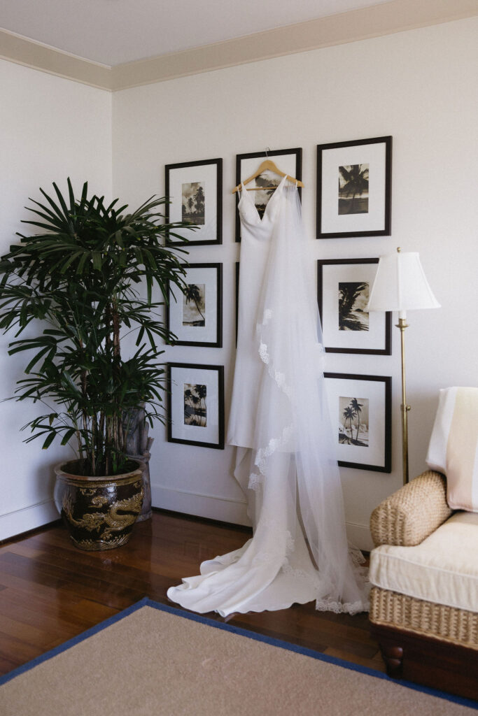 stunning picture of the wedding dress