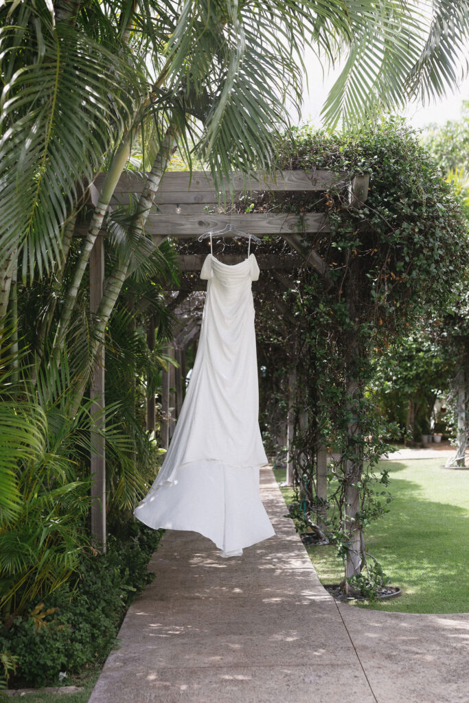 stunning picture of the wedding dress